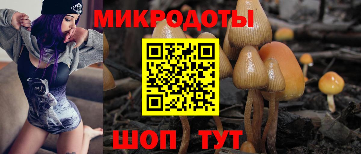 Галлюциногенные грибы MAGIC MUSHROOMS  Вход с VPN  Галлюциногенные грибы прущие грибы  Лосино-Петровский 